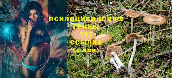 PSILOCYBIN Бронницы