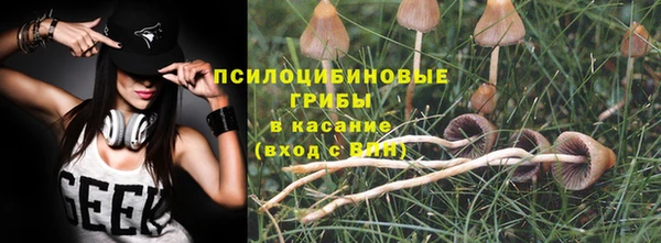 бошки Бородино