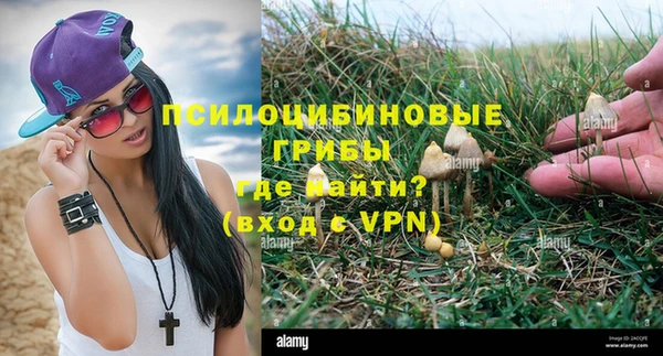 бошки Бородино
