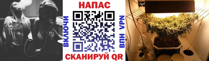 Канабис индика Минеральные Воды